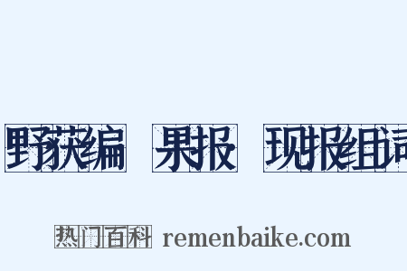 野获编·果报·现报组词是什么意思的图片